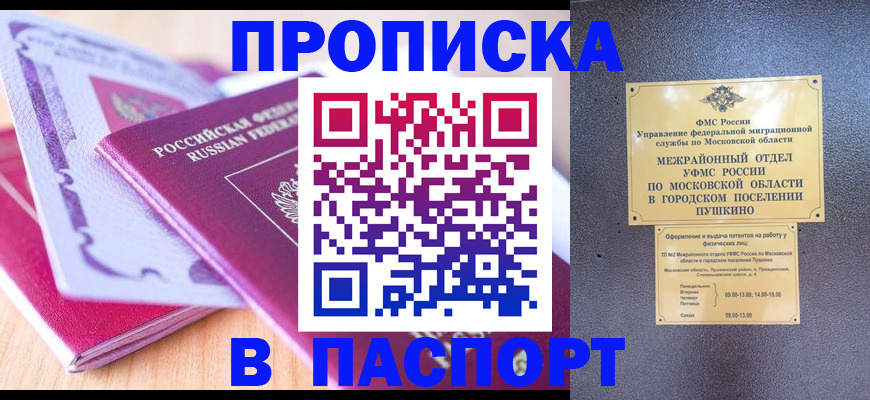прописка законно в Палласовке